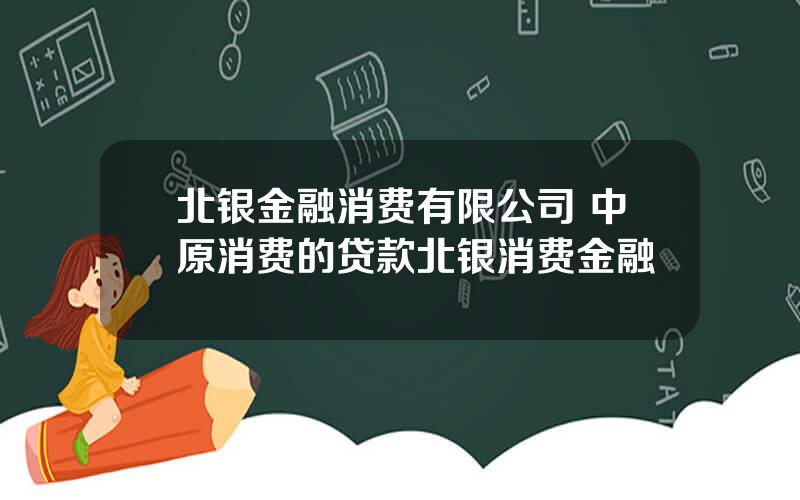 北银金融消费有限公司 中原消费的贷款北银消费金融